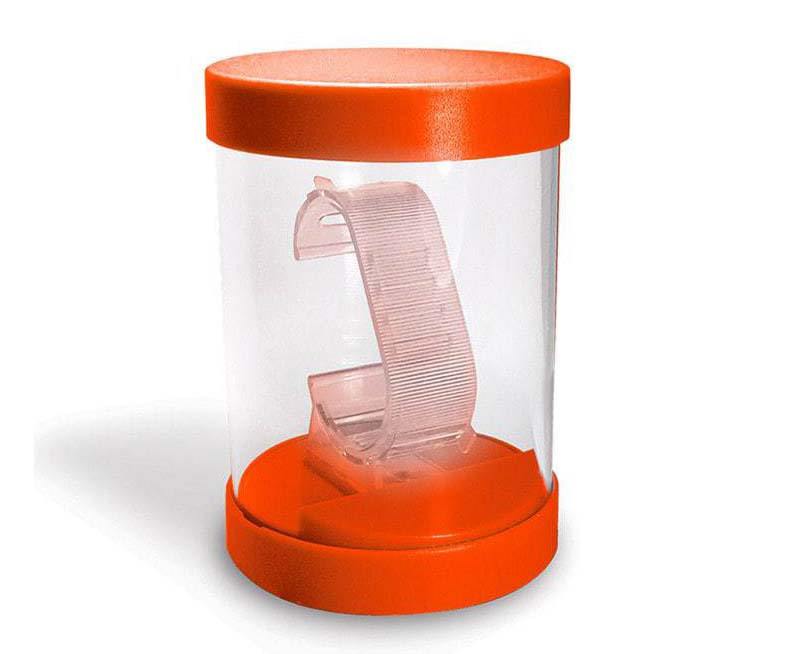 Transparent Round Watch Box - Orange
