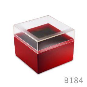 Plastic Watch Jewelry Box