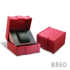 Luxury Plastic Men's Watch Box